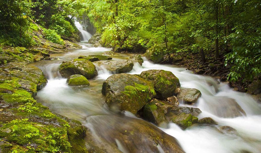 น้ำตกเปรโต๊ะลอซู | ขอบคุณรูปภาพจากคุณ น้ำ-ฟ้า-ป่า-เขา