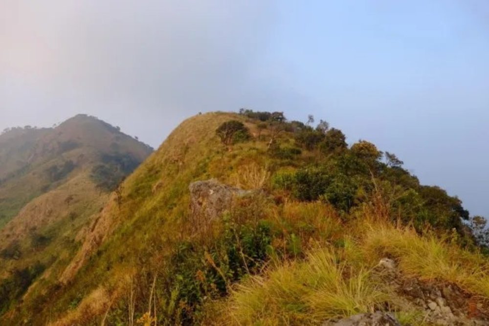 อุทยานแห่งชาติดอยหลวง | ขอบคุณรูปภาพจาก ngthai.com