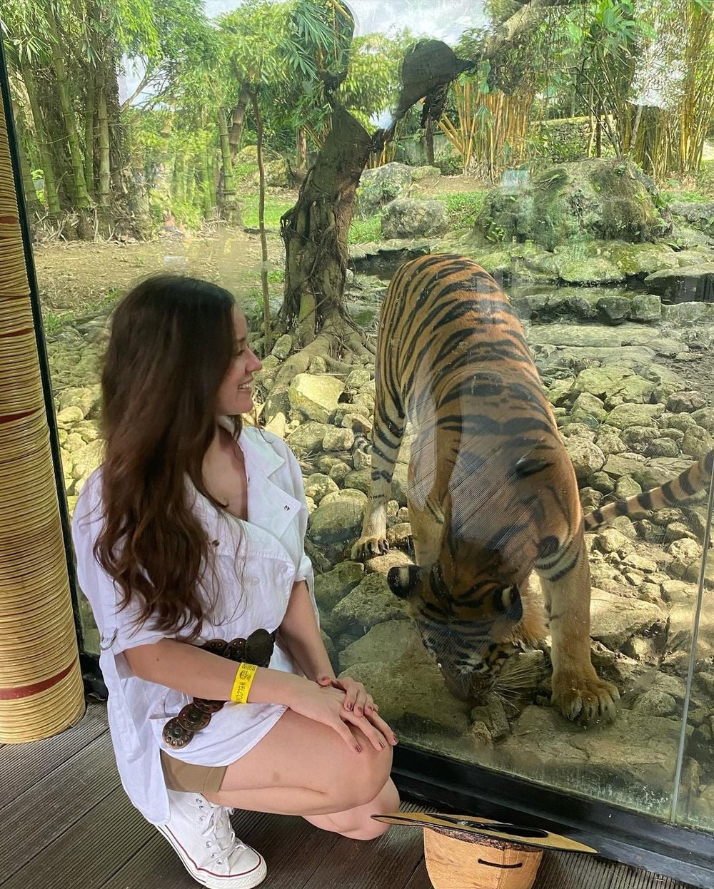 a girl face to face with a tiger