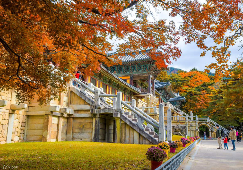  Tour 1 Ngày Tham Quan Cố Đô Hàn Quốc Gyeongju Từ Busan