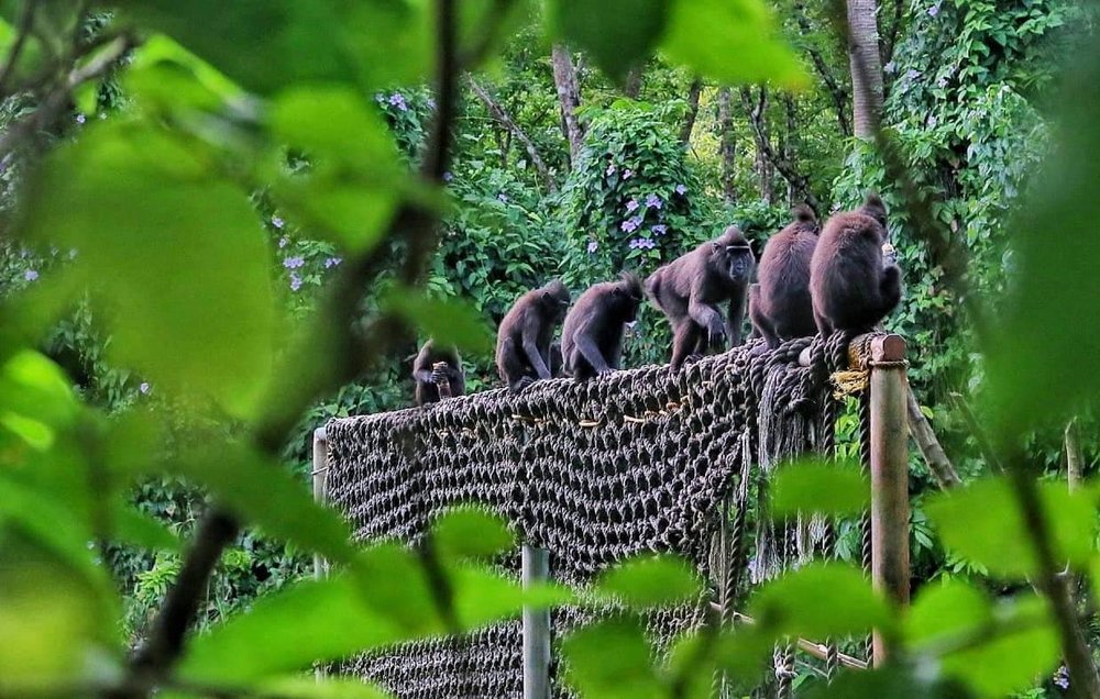 8 Reasons Why Cebu Safari is a World Class Zoo You Should Definitely ...