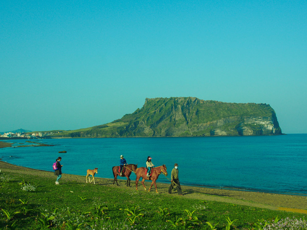 Jeju Do Seongsan Ilchulbong, Jeju Island, South Korea