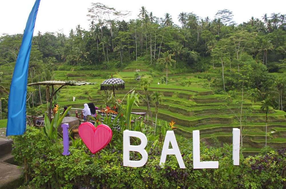 Bali 棚田の風景