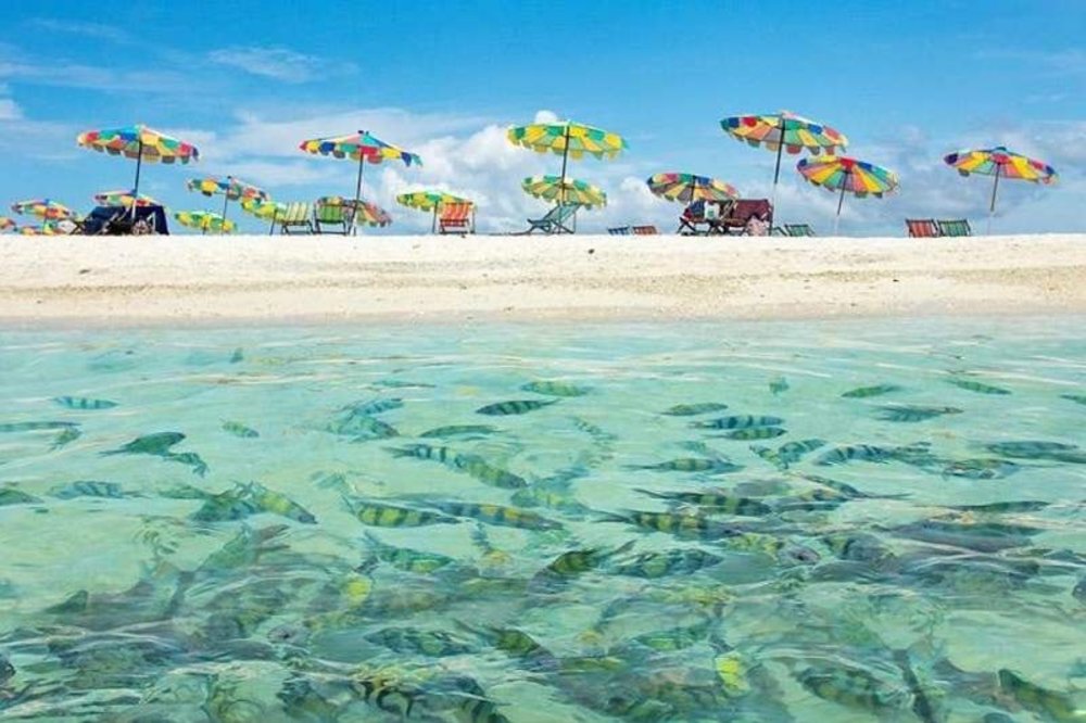 ดำน้ำตื้น ส่องสัตว์ใต้น้ำ