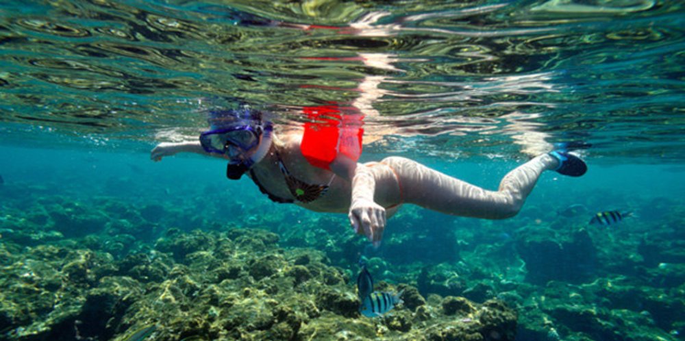 ขอบคุณภาพจาก: konlan.wordpress.com