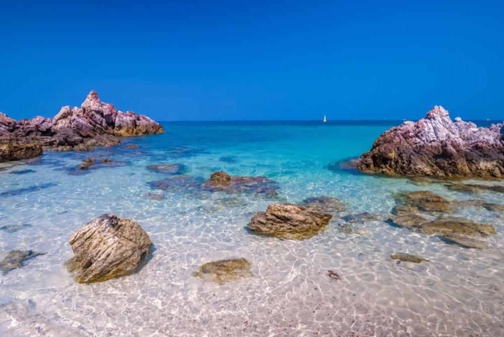 ขอบคุณภาพจาก: Sanook