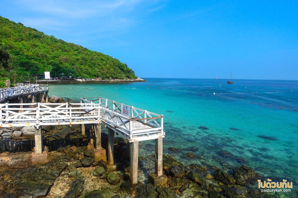 ขอบคุณภาพจาก: Paiduaykan.com