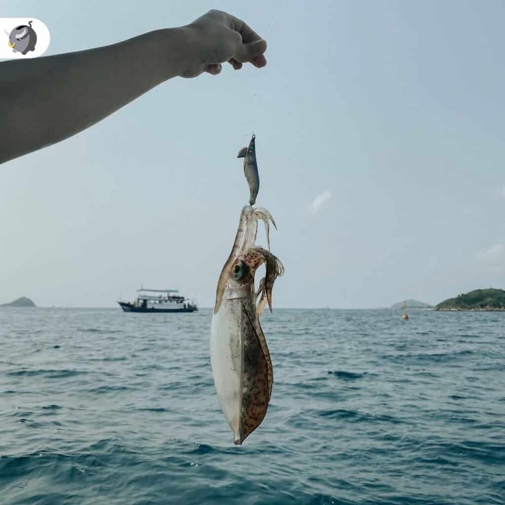 ขอบคุณภาพจาก: Money Buffalo