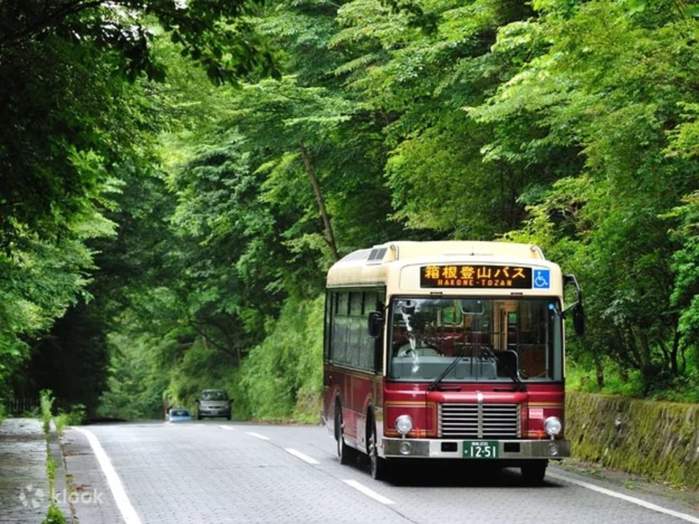 箱根景點10＋推介｜箱根一日遊行程！溫泉／交通／美食全攻略