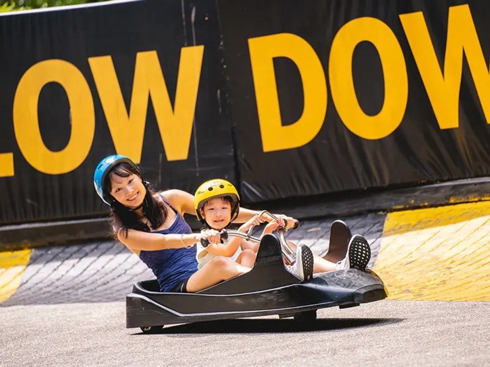 โลดแล่นไปบนเส้นทางอันน่าตื่นเต้นบนรถเลื่อนของคุณที่ Skyline Luge