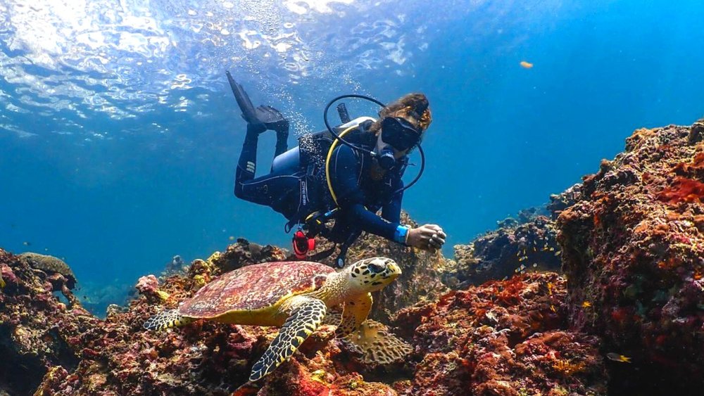 phi phi scuba diving 