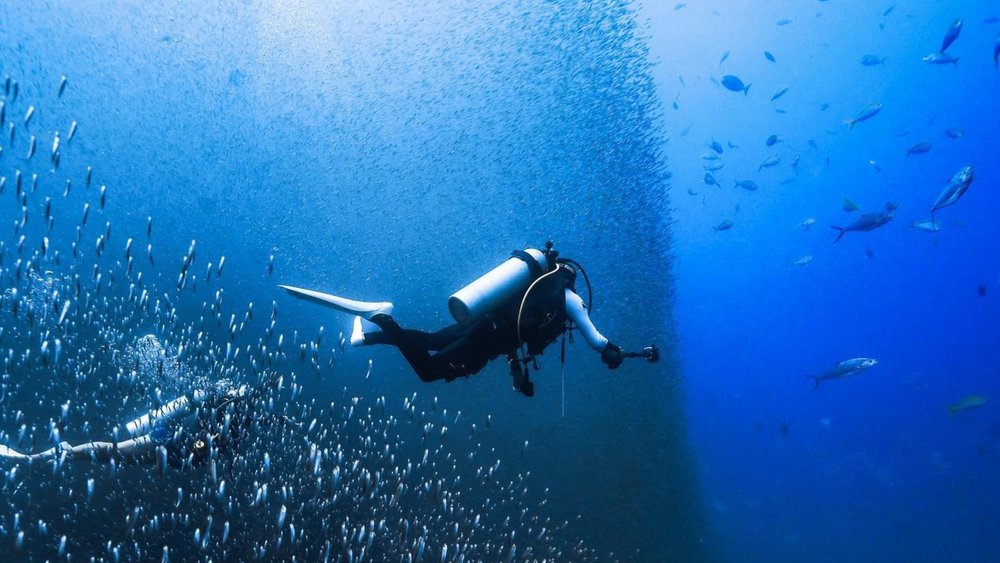 Similan Islands Scuba diving 