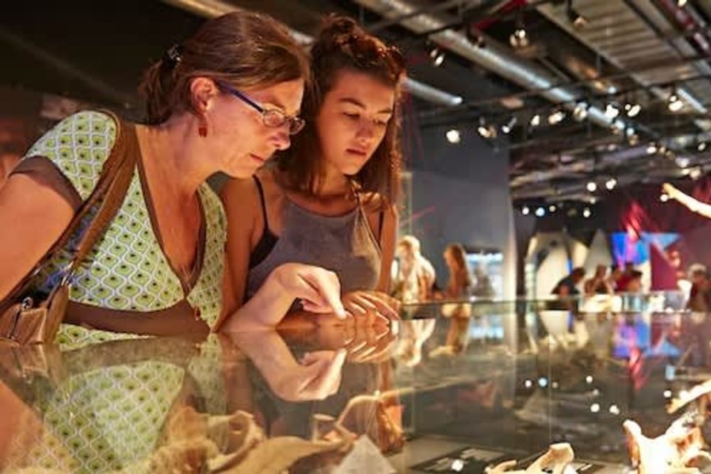 柏林景點BODY WORLDS身體世界博物館