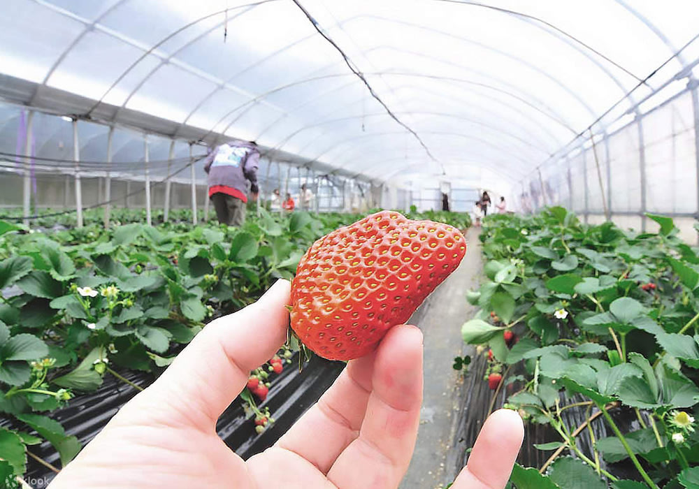 30-thang-4-nen-di-dau-choi