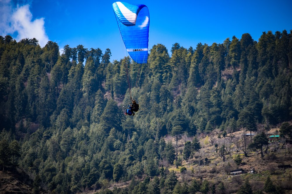 person paragliding over a forest
