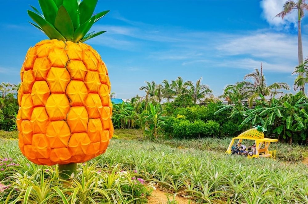 日本遊樂園沖繩名護鳳梨園