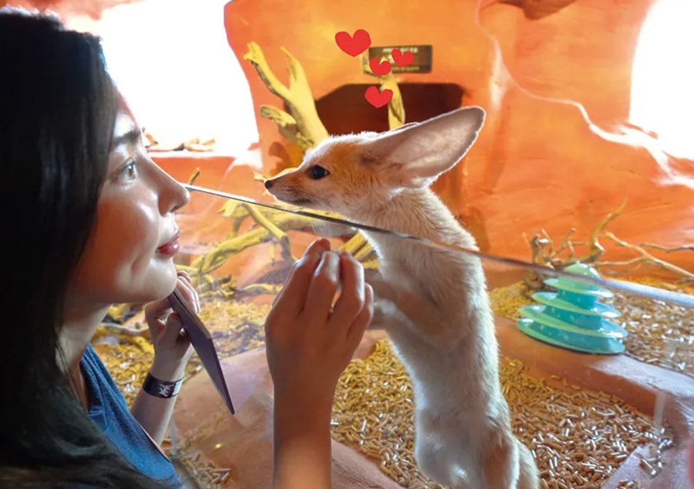 Girl face to face with animal