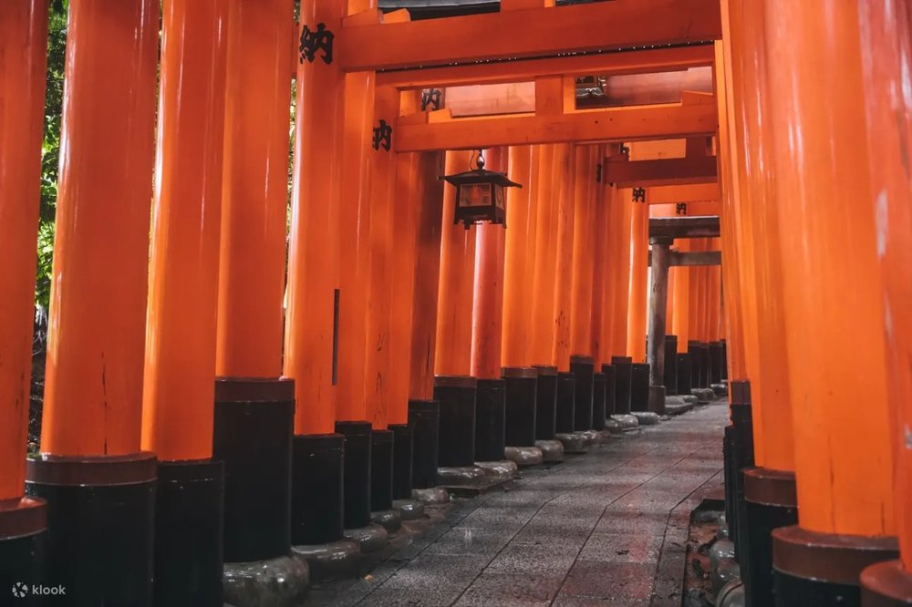 【京阪電車】大阪京都必買1日／2日觀光券！無限任搭電車