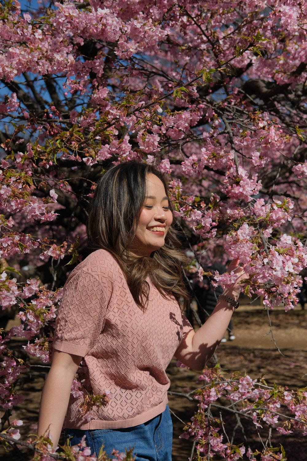 hazel quing during cherry blossom season