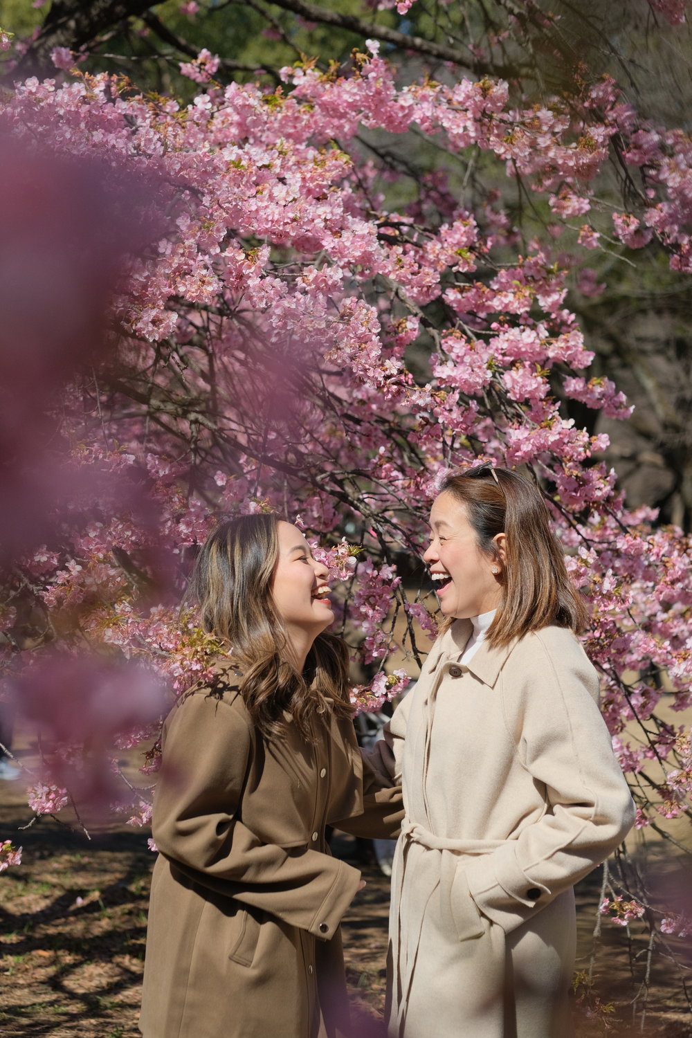 mom and daughter laughing behind cherry blossom tree