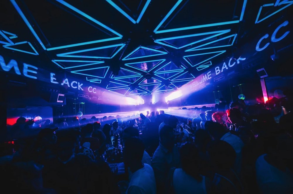 People partying in the club