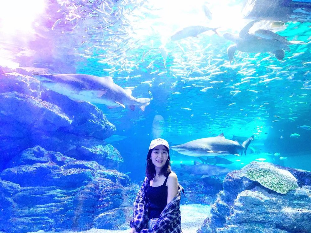 釜山 Sea Life 水族館