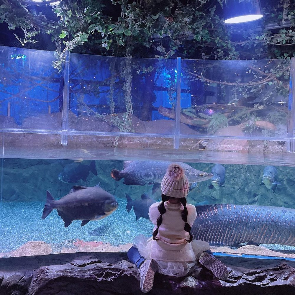 釜山 Sea Life 水族館