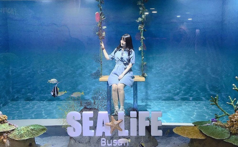 釜山 Sea Life 水族館