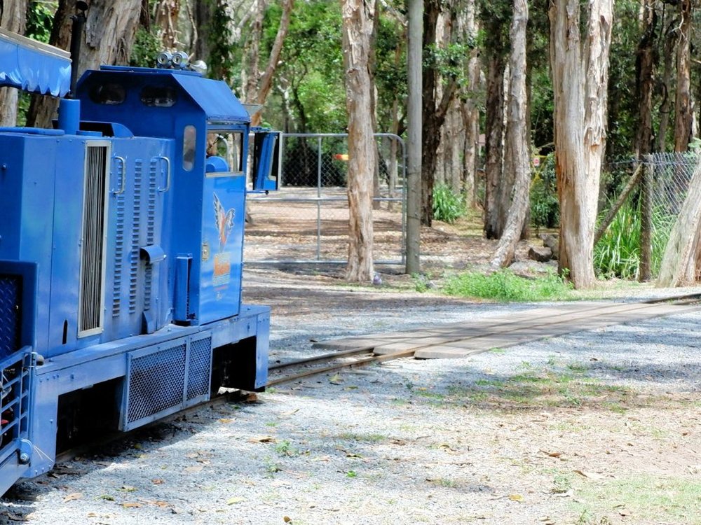 ゴールドコースト カランビン野生生物保護区 観光列車