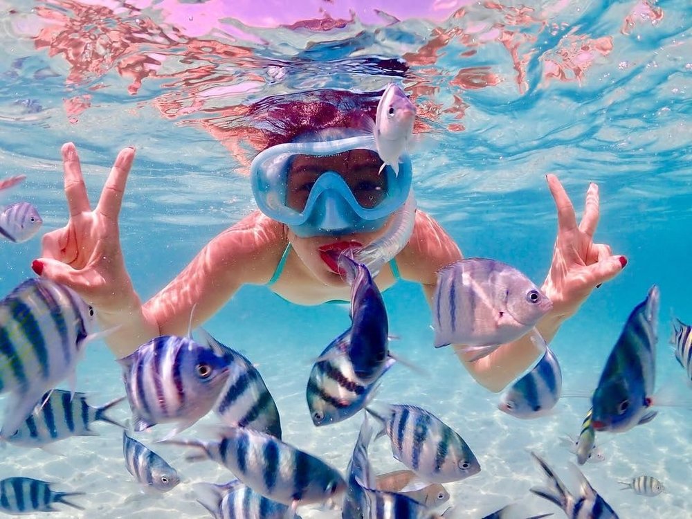 ดำน้ำดูปะการัง น้ำใสมาก!| ขอบคุณรูปภาพจาก Travel MThai