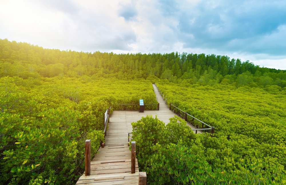 สูดอากาศบริสุทธิ์กันให้เต็มปอด | ขอบคุณรูปภาพจาก Whenorwhere