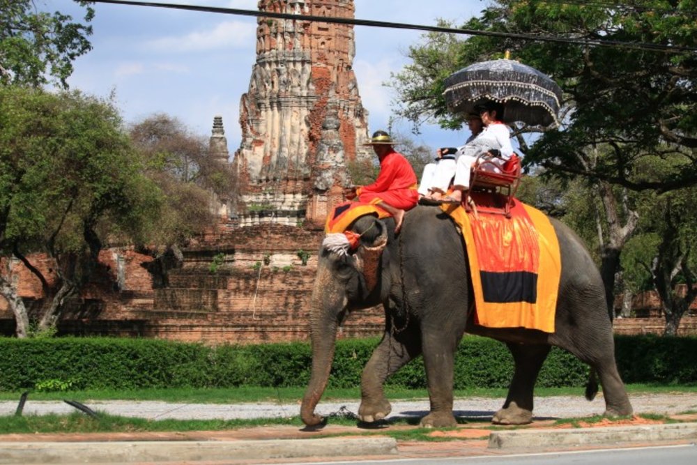 วังช้างอยุธยา แล เพนียด ขอบคุณภาพจาก: Go Ayutthaya - จังหวัดพระนครศรีอยุธยา