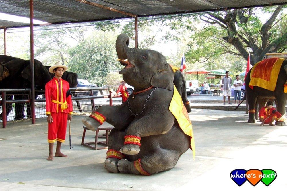 วังช้าง แล เพนียด ขอบคุณภาพจาก: Touronthai.com