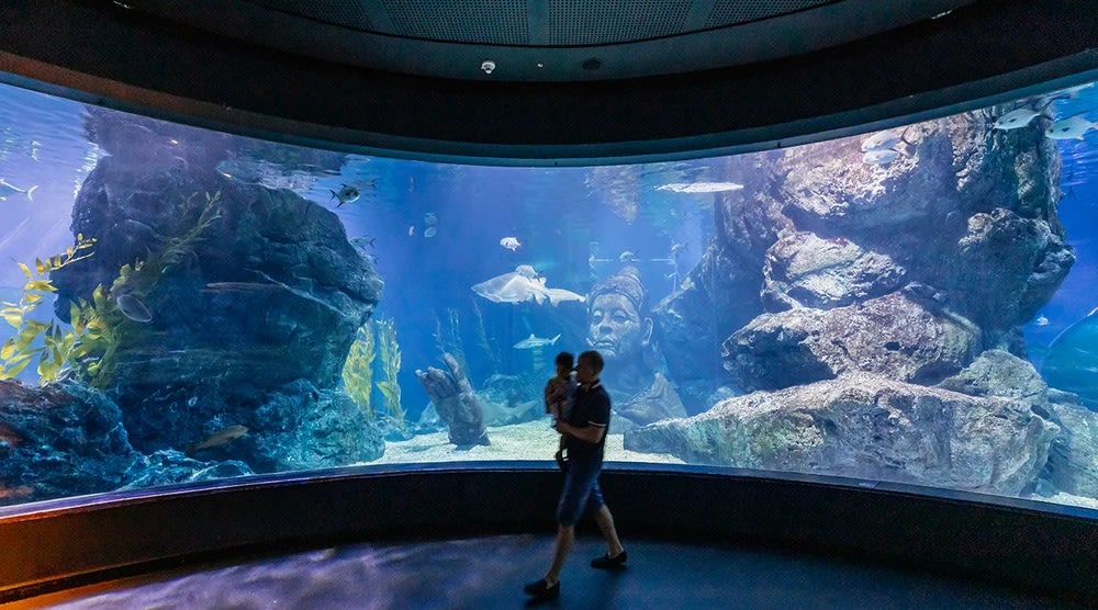 シーライフバンコクオーシャンワールド