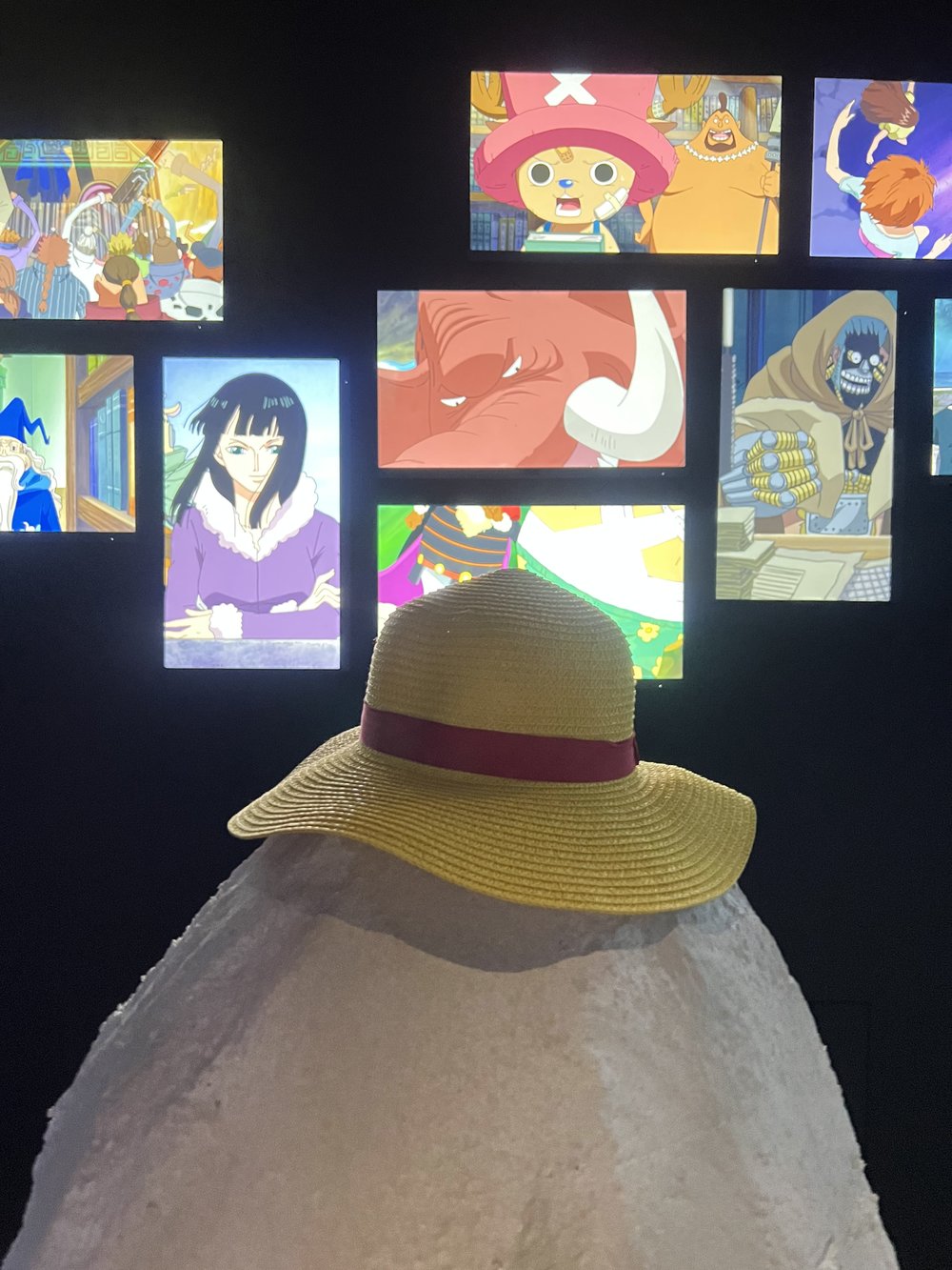 One Piece Great Era of Piracy Exhibition in Malaysia review