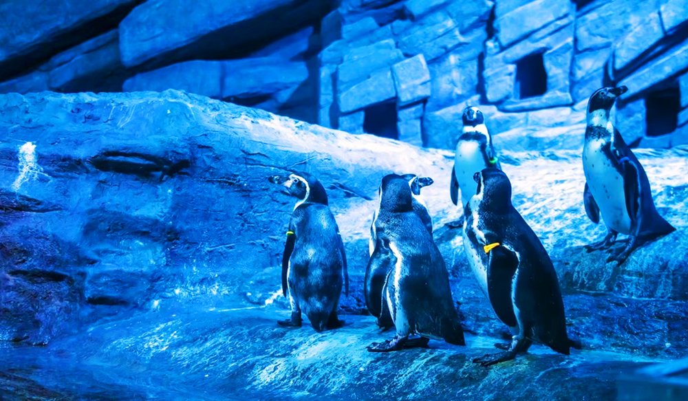 Aquaria Phuket Thái Lan