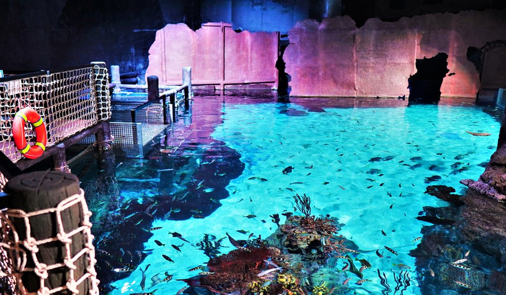 Aquaria Phuket Thái Lan