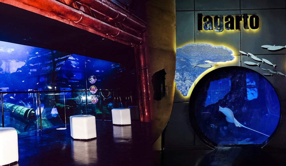 Aquaria Phuket Thái Lan