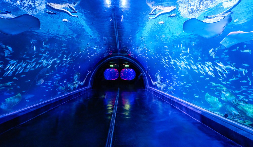 Aquaria Phuket Thái Lan