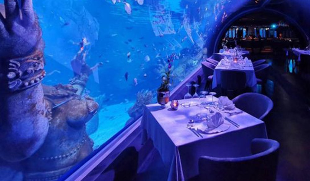 Aquaria Phuket Thái Lan