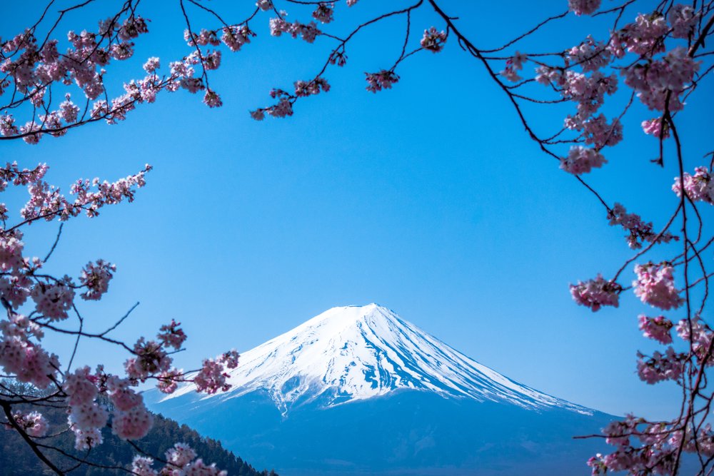 富士山景點 富士山自由行 富士山一日遊 必去景點 河口湖大石公園／纜車｜附富士山酒店推介