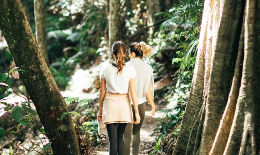 ラミントン国立公園