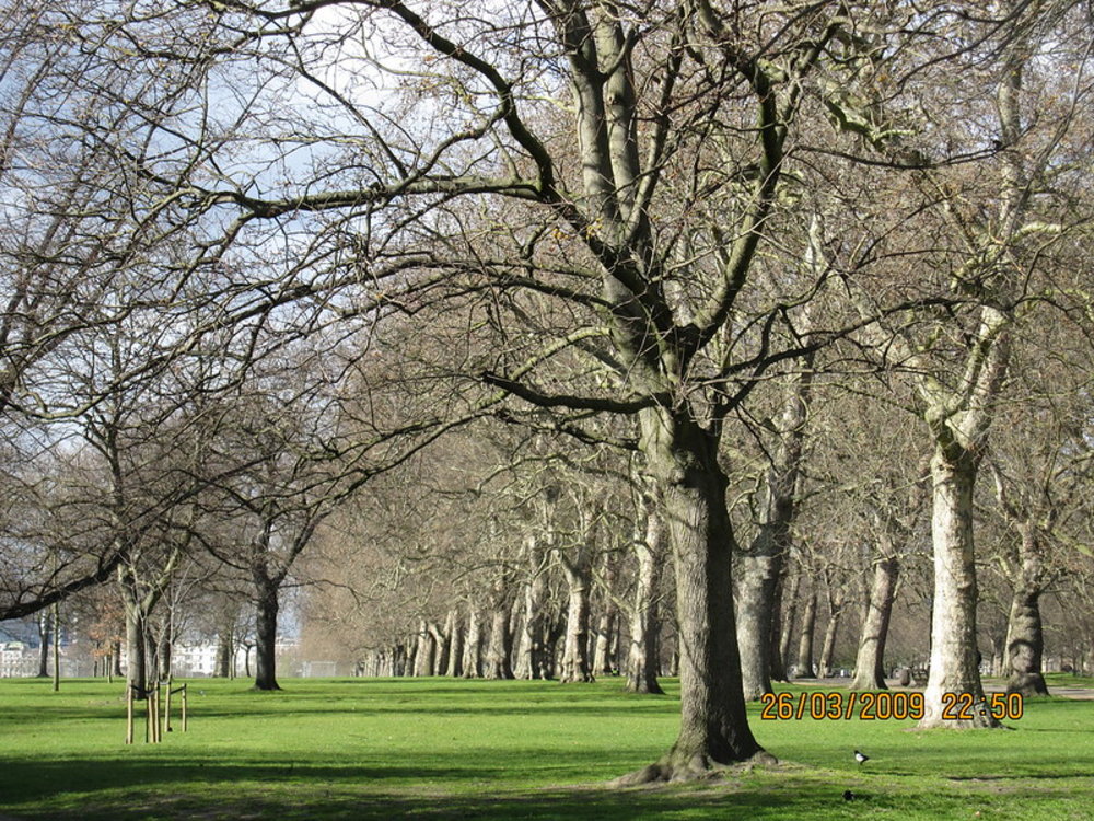 英國景點倫敦海德公園