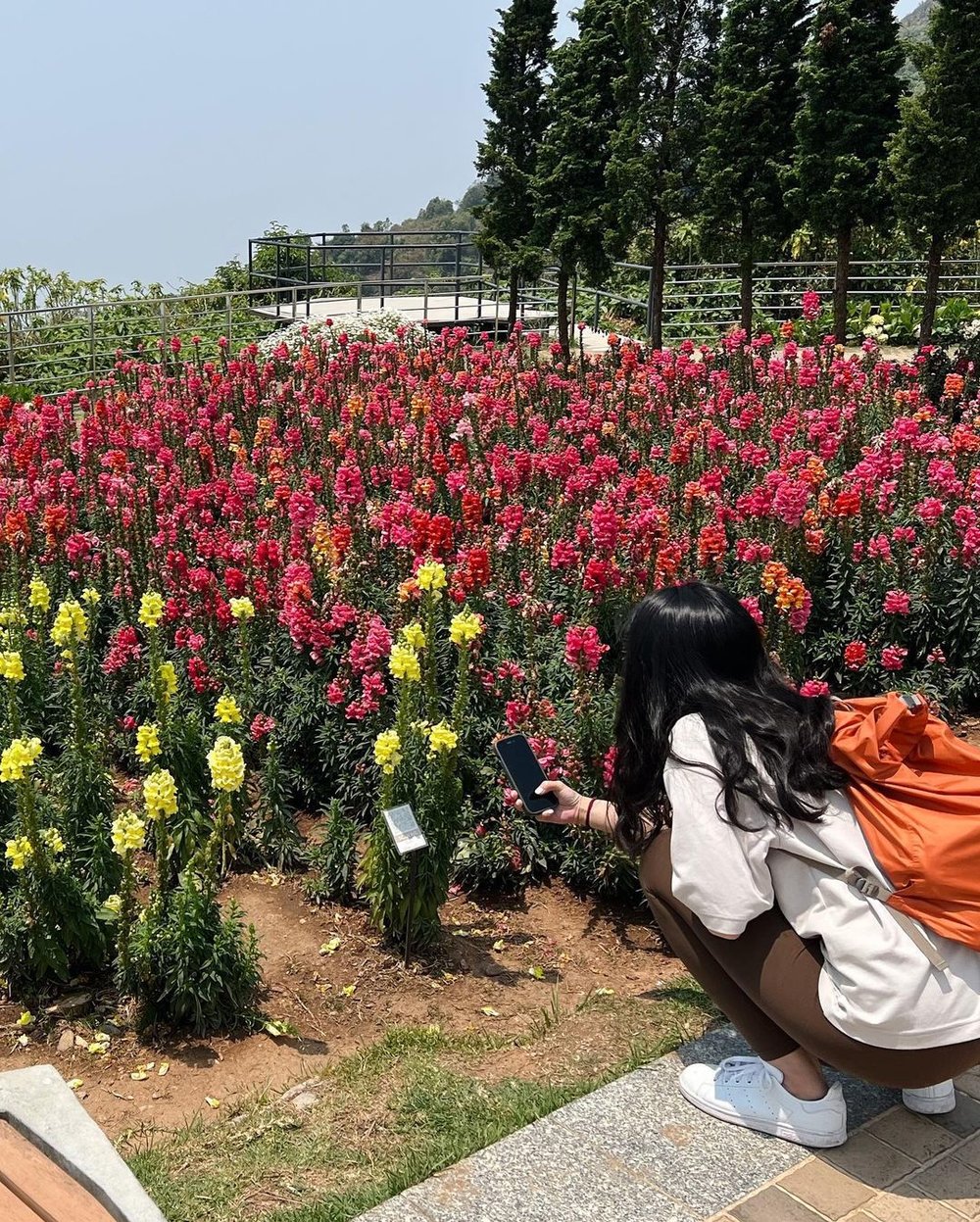 Doi Inthanon National Park 