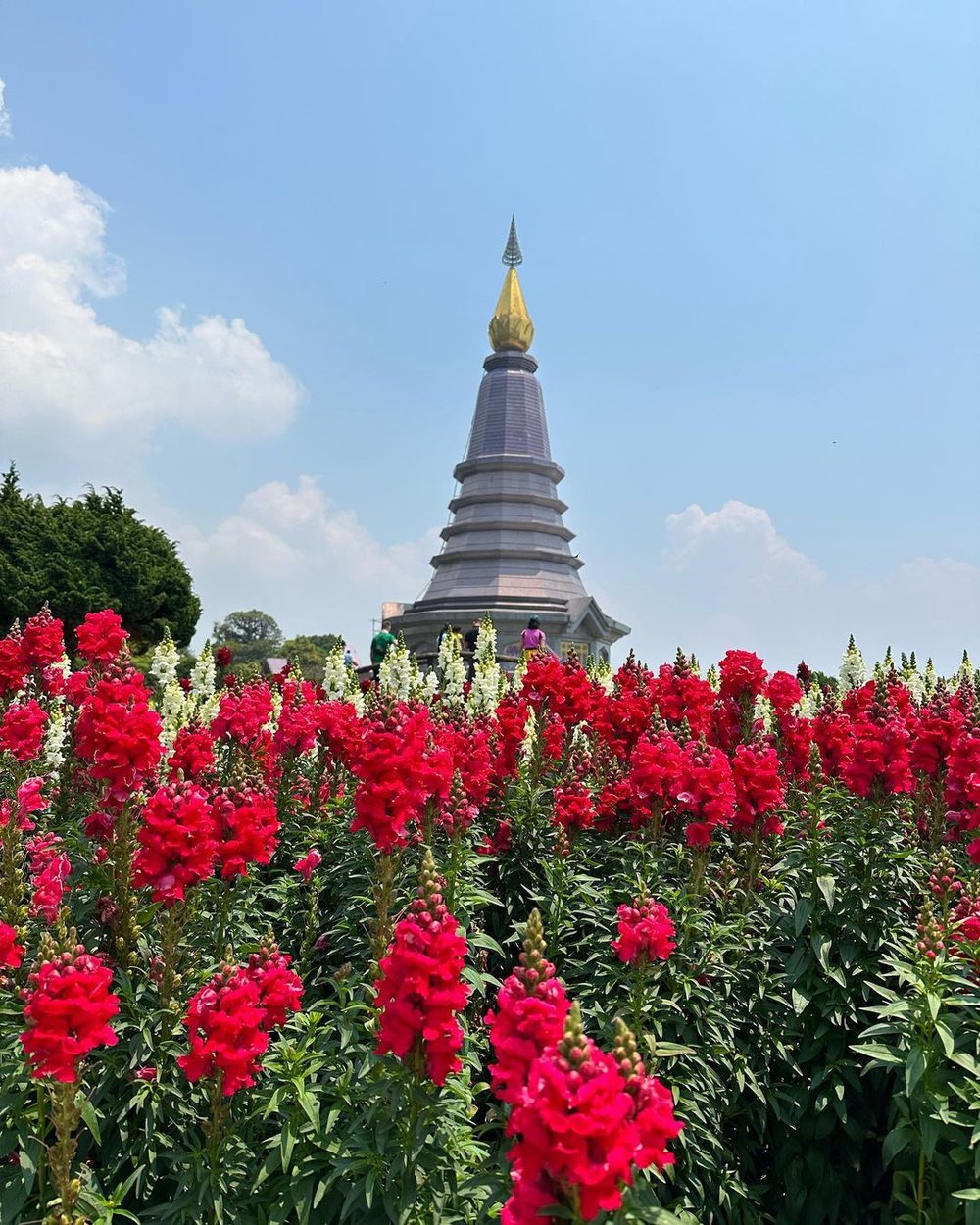 Doi Inthanon National Park
