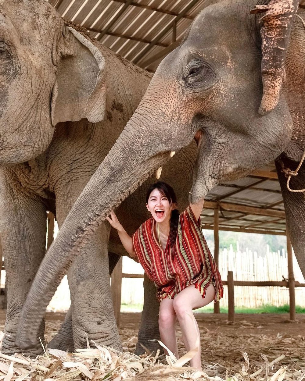 Elephant Jungle Sanctuary