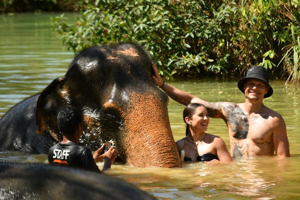 Elephant Jungle Sanctuary