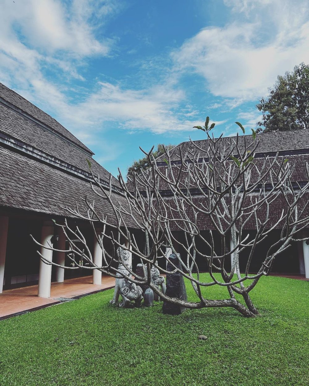 Mae Fah Luang Art & Cultural Park (Rai Mae Fah Luang)