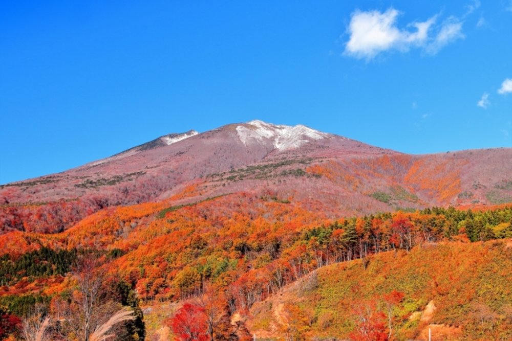 【日本假期2023】避開日本公眾假期旅行！日本黃金週／新年假期／連假一覽