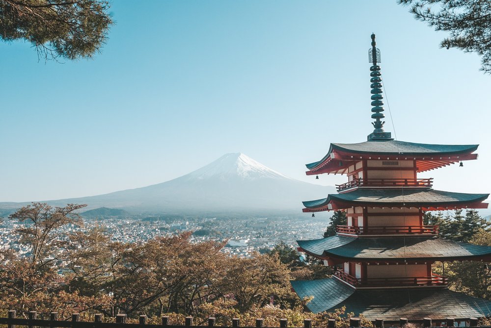 Cherry Blossom in Mt.Fuji
